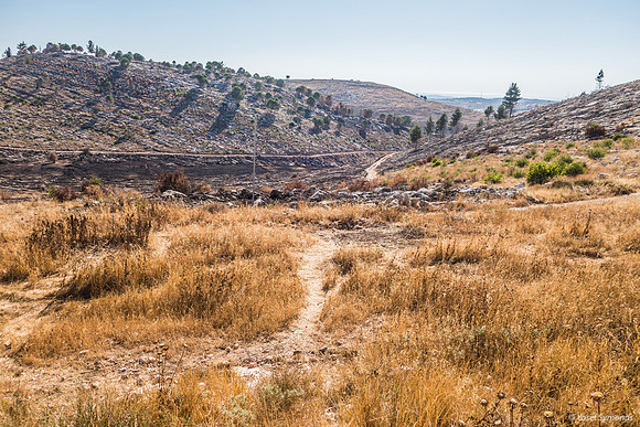 Outskirts of Bat Ayin 210621-2