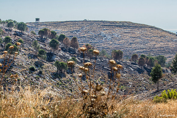 Flat Hilltop Destination 210621-1