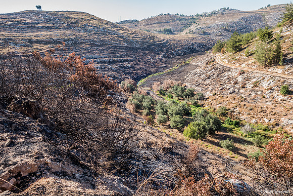 View Down Into Valley 210621-1