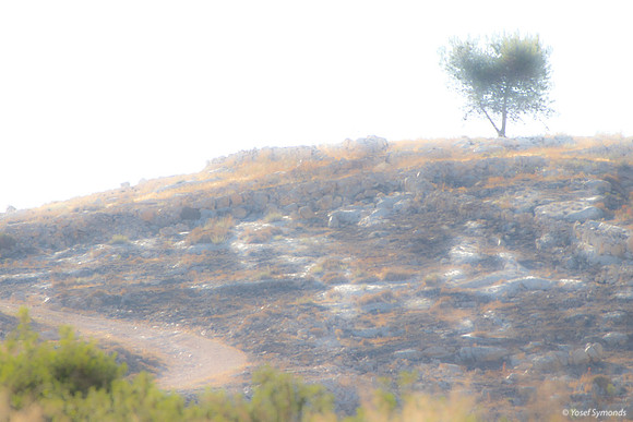 Summit 210621-1