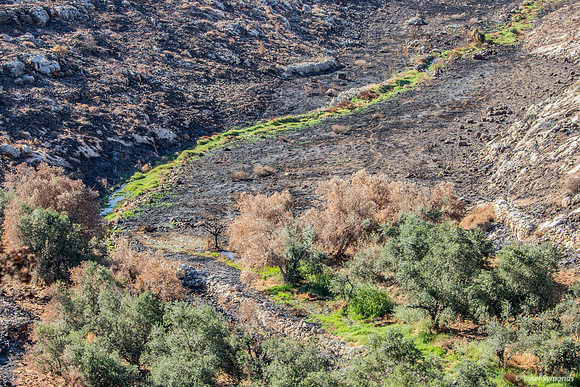 Valley Below 210621-1