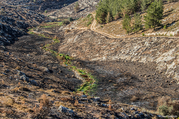 Valley Below 210621-2