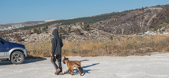Man's Best Friends 210621-1