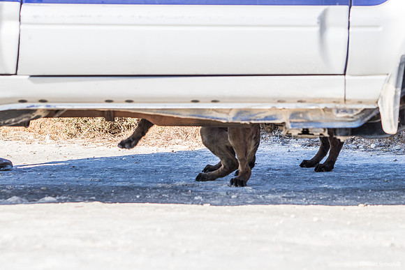 Something Afoot Under This Car 210621-1