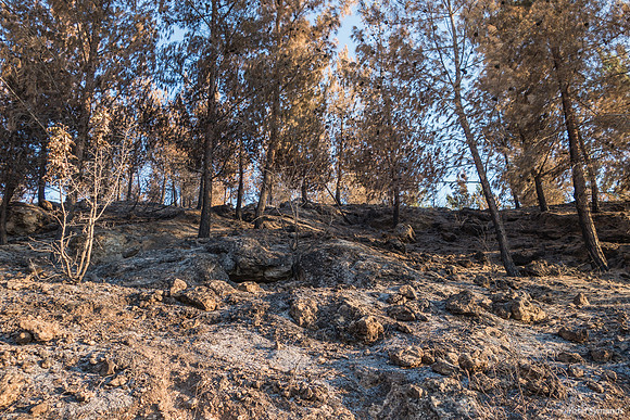 Bat Ayin Outskirts Landscape 210621-1