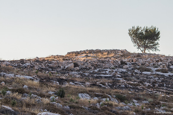 Bat Ayin Outskirts Landscape 210621-3