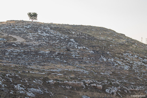 Bat Ayin Outskirts Landscape 210621-4