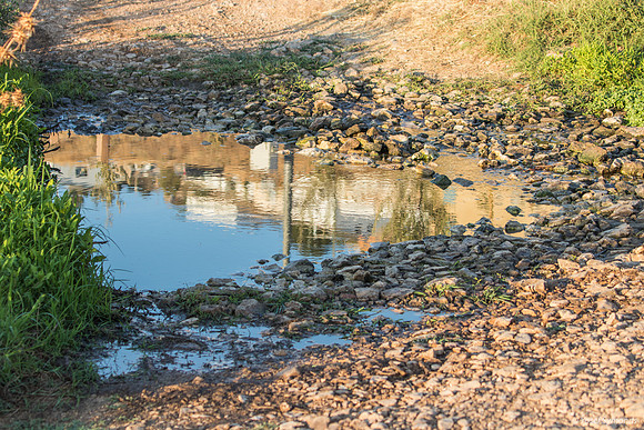 Reflective Puddle Bat Ayin 210621-1