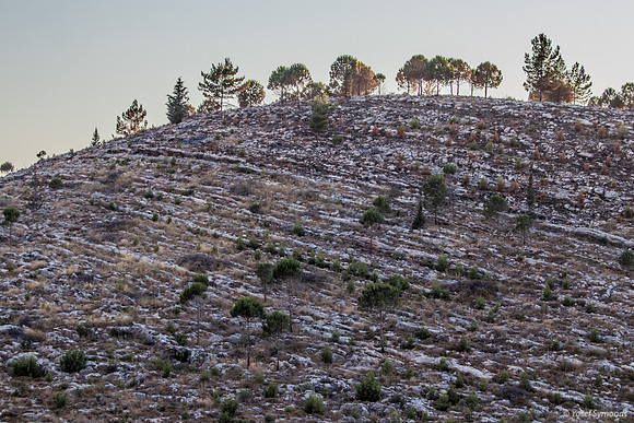 Hill Bat Ayin Outskirts 210621-1
