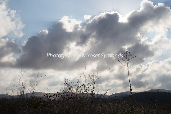 Mishkafayim 2014 Q3 7990