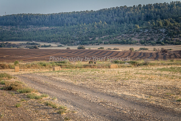 Haystacks in Field 170721-33