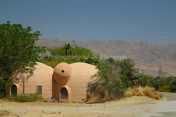 Thin Shell Construction at Kibbutz Samar 1