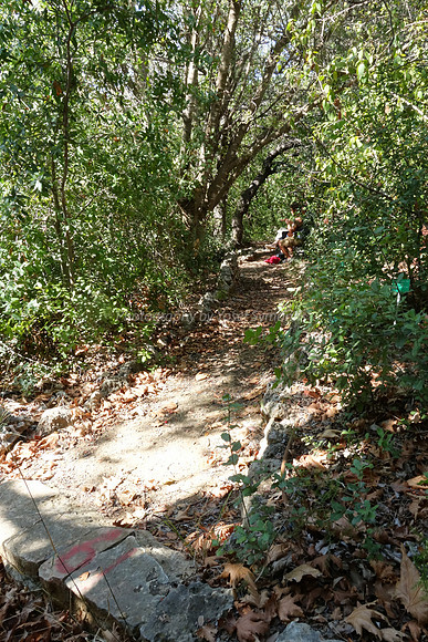 Bench at End of Path 2