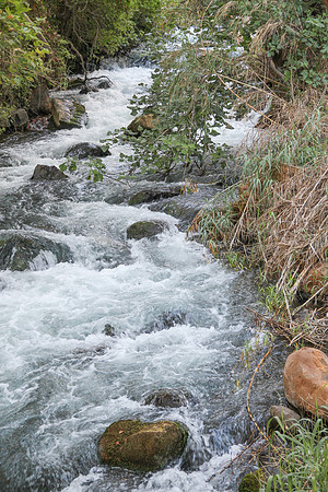 130528-Hula_Valley-2366-2
