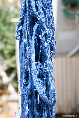Techelet Blue Strings Drying after Coloration 3