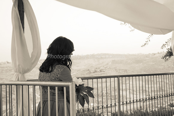 Mother-In-Law Under Chuppah 2