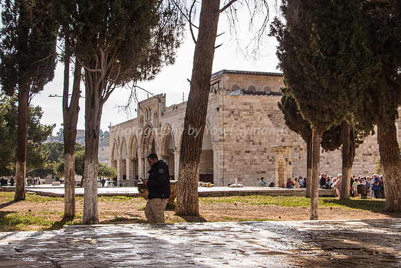 Looking East Towards  Tourists in front of Al Aksa Mosque