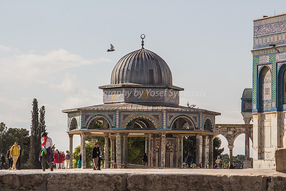 Dome of the Chain 1
