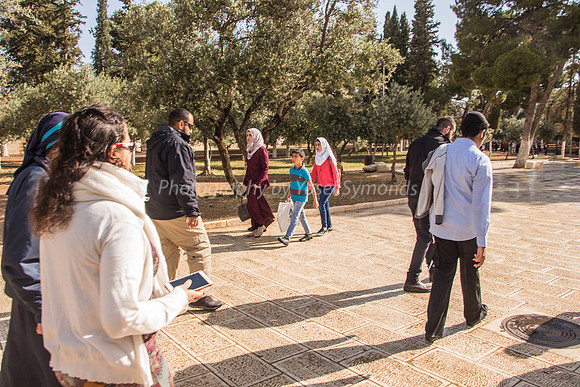 Arab Students Passing Jewish Group