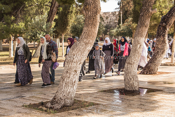 Arab Group Passing Jewish Group