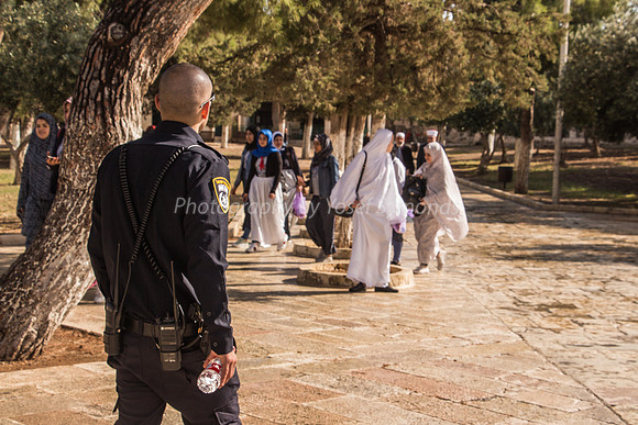 Police Observing Arab Group