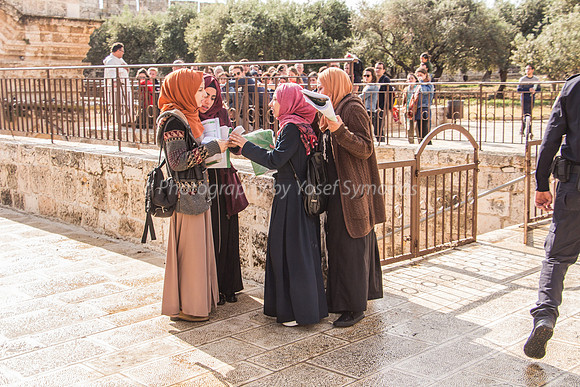 Young Arab Ladies on Study Mission 2