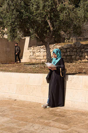 Young Arab Lady Studying
