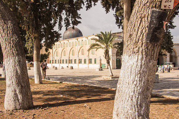 El Aksa Mosque Looking SW