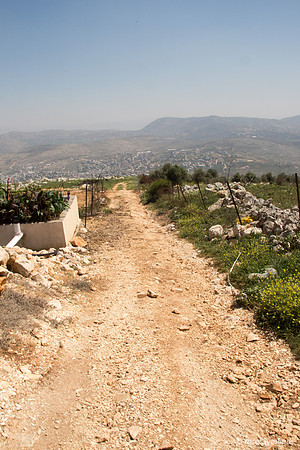 Path Leading East to Fields 1