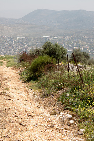 Path Leading East to Fields 3