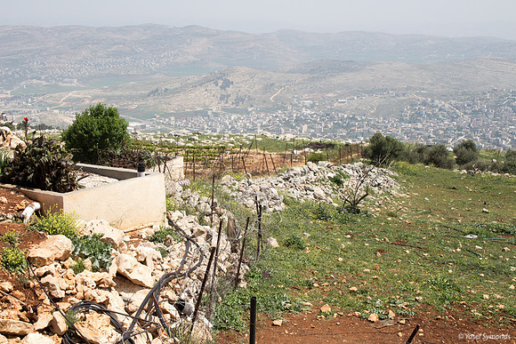 View from Har Bracha onto Hills of Ephraim