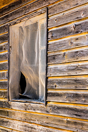 Old Wooden Hut 5