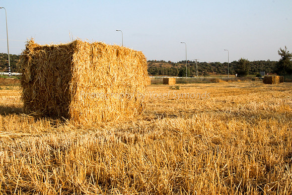 Haystacks in Field 170721-13