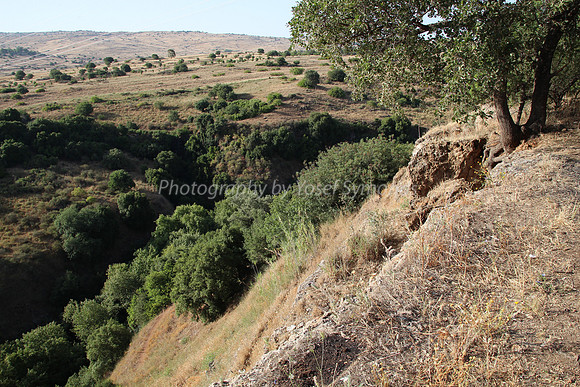 On Slopes of Snir 2
