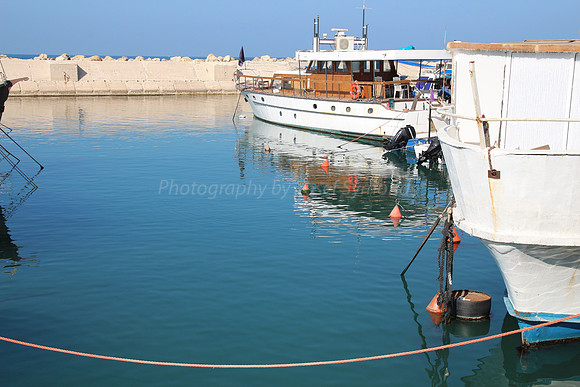 Jaffa Fishing Port