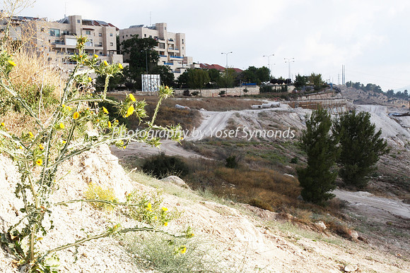 Mishkafayim 2014 Q3 7994B