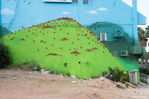 Mural Graffiti Exterior Wall - Mountain from Mole Hill 191115-1