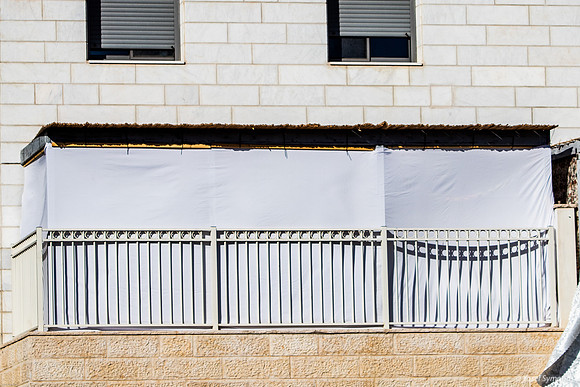 Plain Jane Sukkah 241023-1