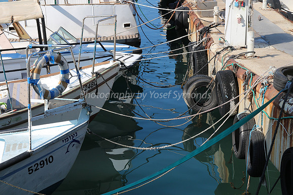 Jaffa Fishing Port