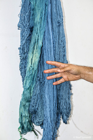 From Dye Solution to Drying 13