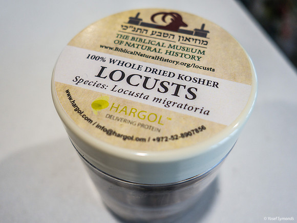 Locusts 220811-4
