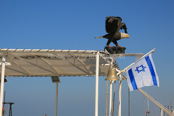 Jaffa Fishing Port