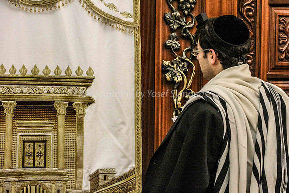 Man Praying at Kotel 7