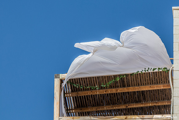 Billowing In the Breeze 221016-3
