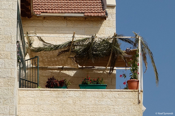 Spanish Sukkah