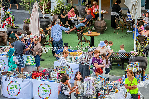 150702-NaimiMall_ArtsFair-5799