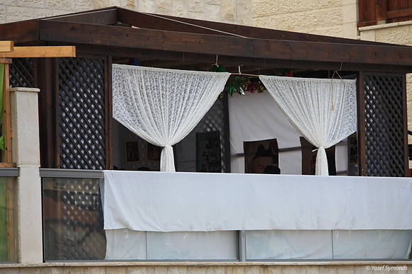 Laced Simplicity Sukkah