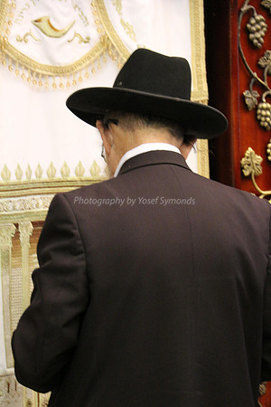Man Praying at Kotel 7