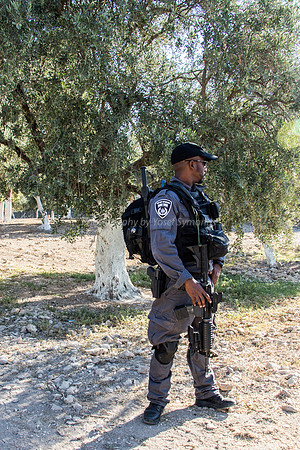 Lone Policeman