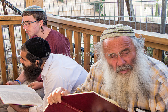 Learning at the Har Habayit Yeshiva Before Going Up - 6